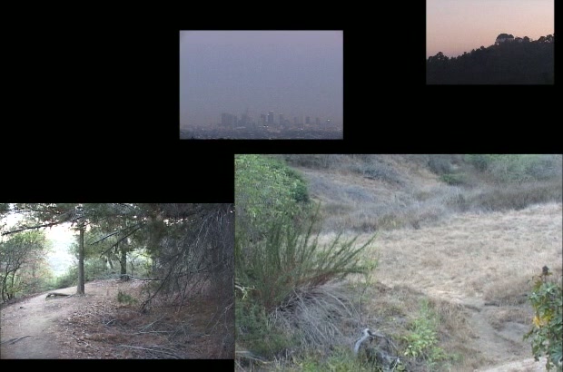 The Side of the Mountain